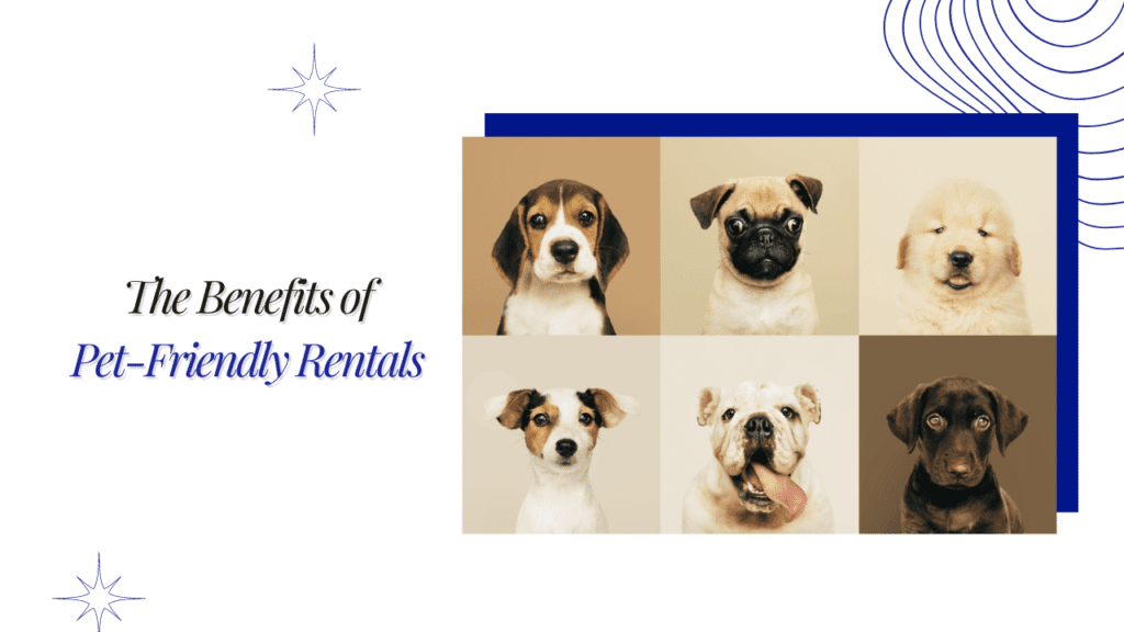 The Benefits of Pet-Friendly Rentals in Philadelphia - Article Banner